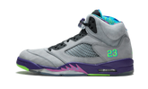 Air Jordan 5 Retro "Bel Air" 621958 090