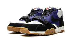 SB Air Trainer 1 "Polar Skate Company" CI6892 001