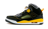 Jordan Spiz'ike 315371 030