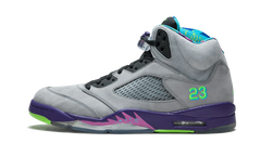Air Jordan 5 Retro "Bel Air" 621958 090