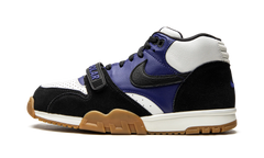 SB Air Trainer 1 "Polar Skate Company" CI6892 001