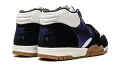 SB Air Trainer 1 "Polar Skate Company" CI6892 001