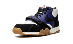 SB Air Trainer 1 "Polar Skate Company" CI6892 001